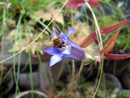 c0147952_11512490.jpg