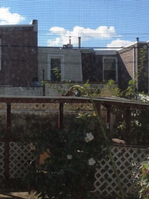 c0200153_13382342.jpg