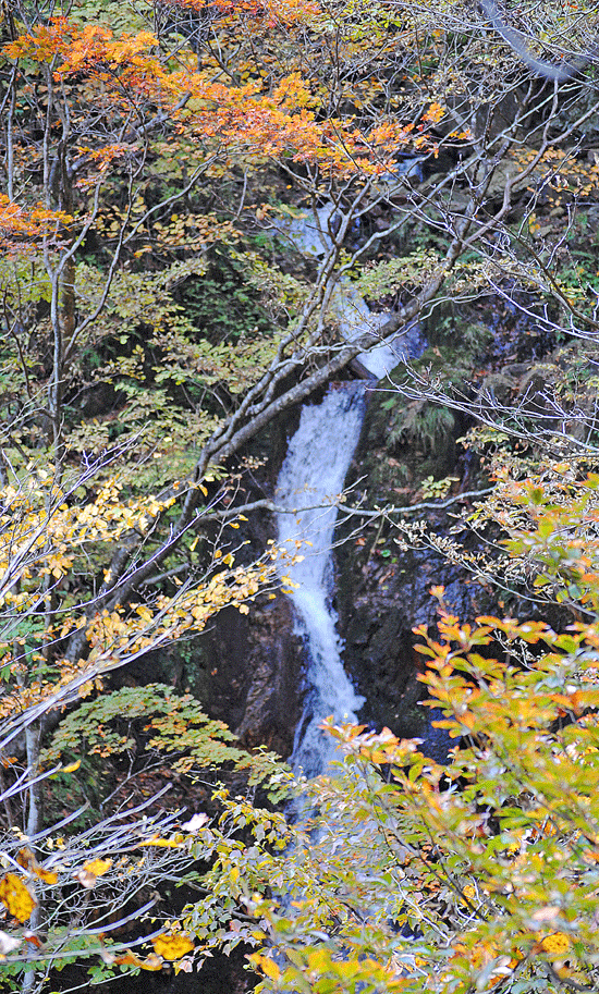 a0001354_2342165.gif