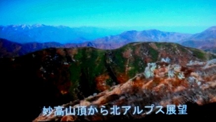c0119160_8221045.jpg