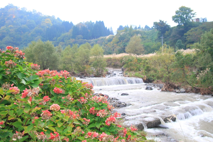 d0274760_949482.jpg