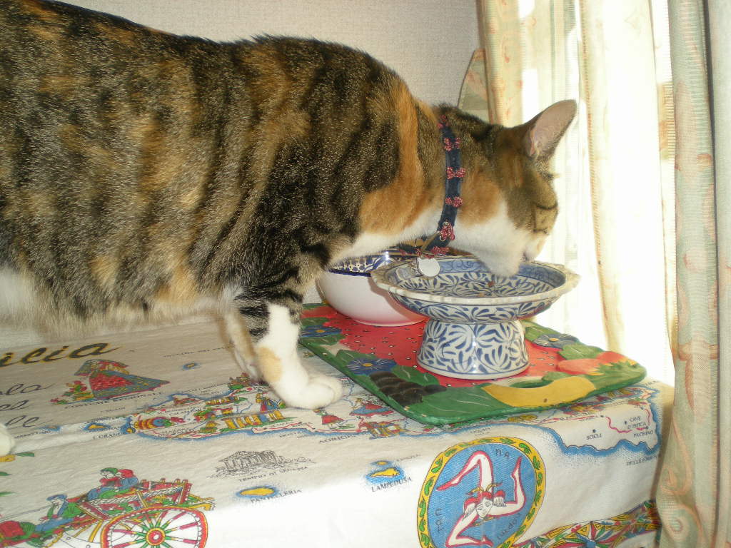 ’13,11,2(土)今日は寒いから食の話!_f0060461_1113636.jpg