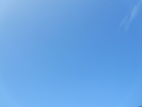 b0149071_15121887.jpg