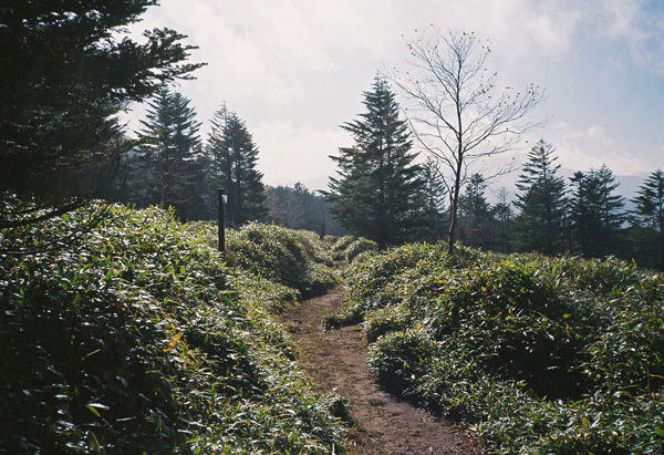 a0207672_0401866.jpg