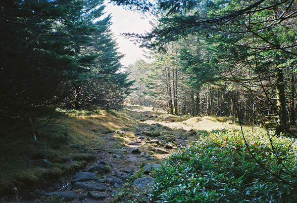 a0207672_0402918.jpg