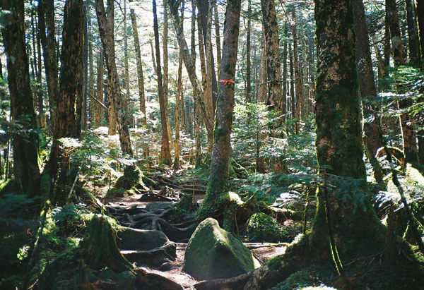 a0207672_0411541.jpg