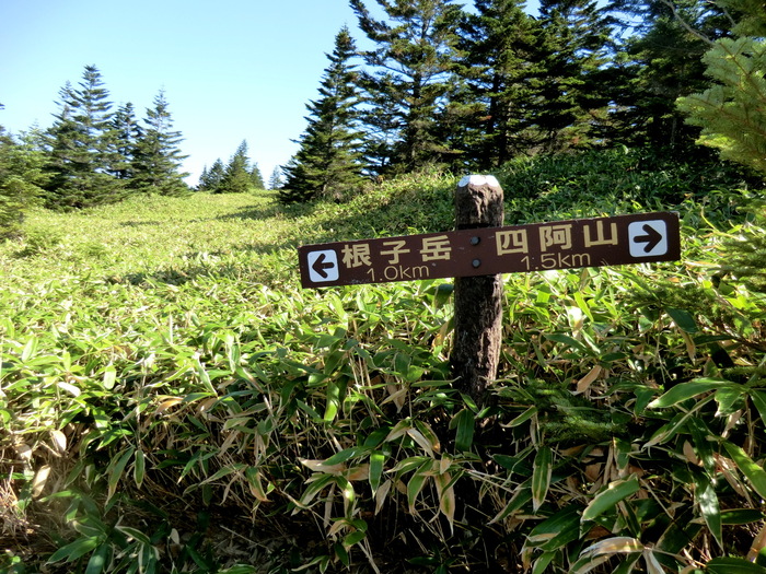 b0185573_211935.jpg