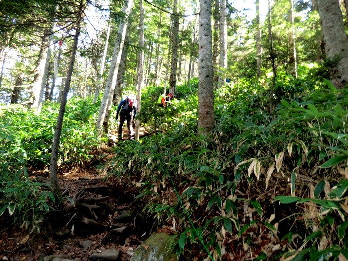 b0185573_2152948.jpg
