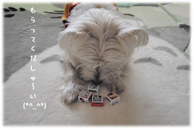 b0242873_11261969.png