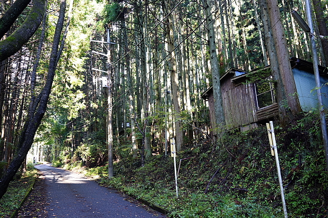 錦秋の雨山峠から鍋割山_f0227973_13133092.jpg