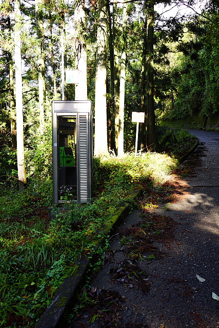 錦秋の雨山峠から鍋割山_f0227973_1314847.jpg