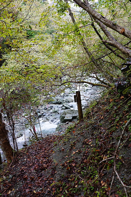 錦秋の雨山峠から鍋割山_f0227973_13321172.jpg