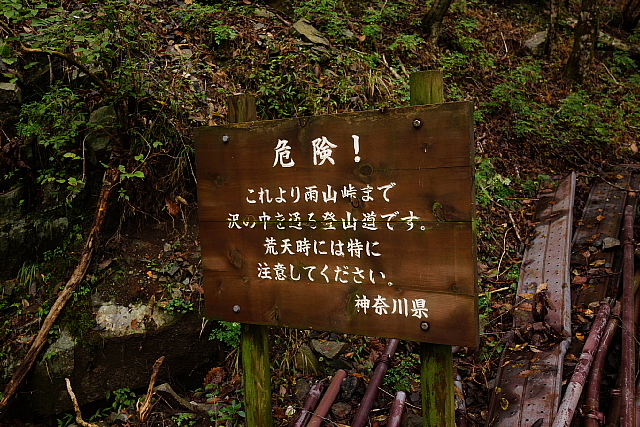 錦秋の雨山峠から鍋割山_f0227973_14105017.jpg