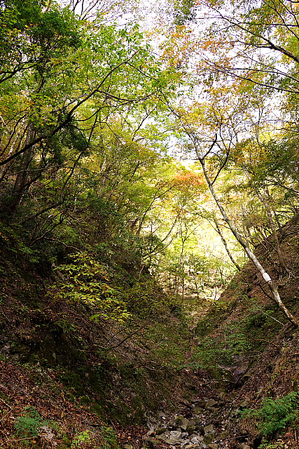 錦秋の雨山峠から鍋割山_f0227973_14143628.jpg