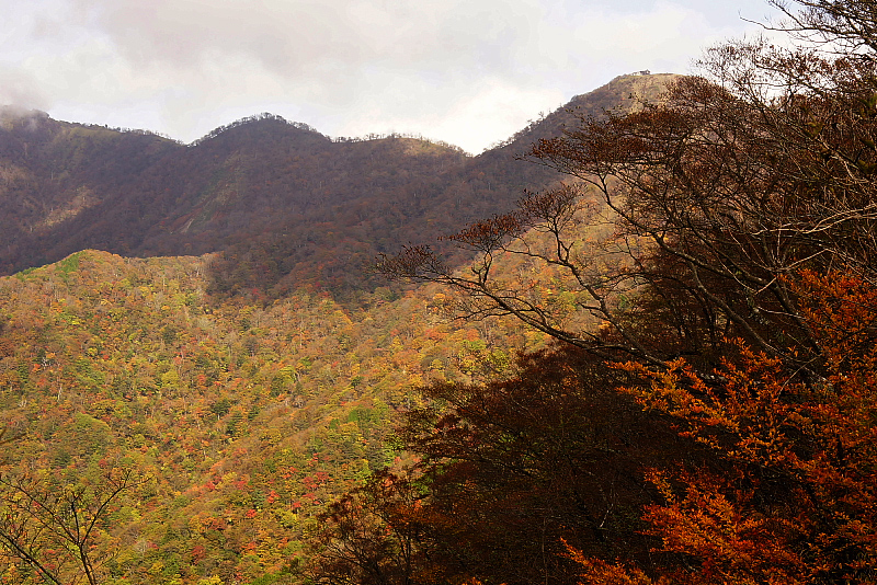 錦秋の雨山峠から鍋割山_f0227973_14545595.jpg