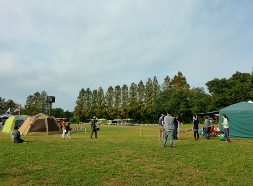 a0157174_1949997.jpg