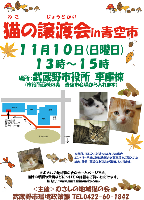 メス猫のいるところに、子猫あり。_c0268274_23454949.jpg