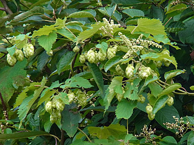 f0083977_22155430.jpg