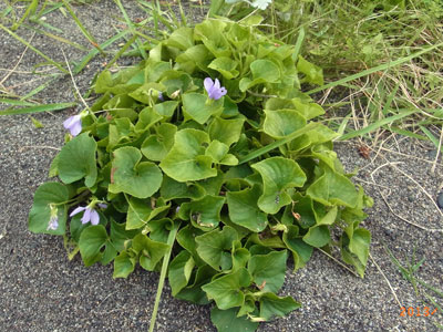 f0083977_2225689.jpg