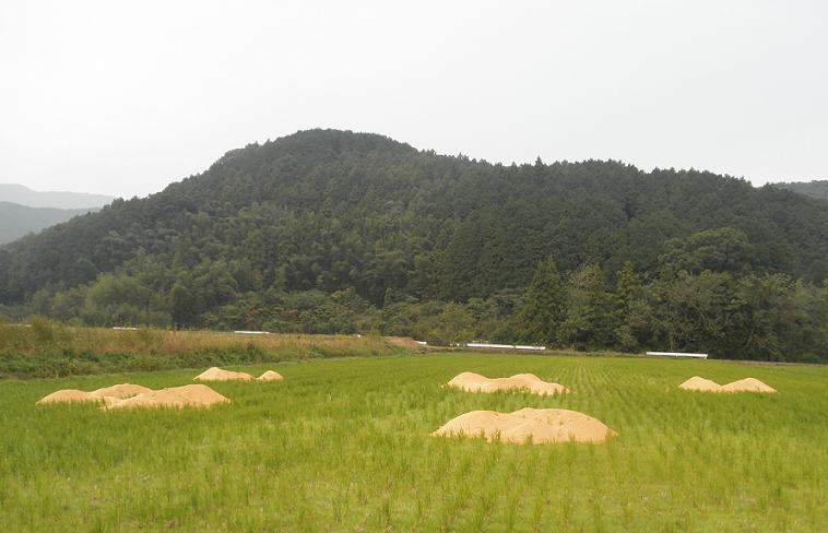f0101679_11271375.jpg