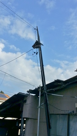 f0228680_8234659.jpg