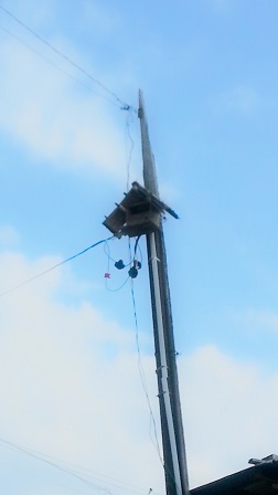 f0228680_8242026.jpg