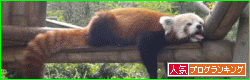 b0181081_203897.gif