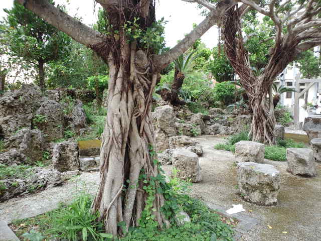 f0051283_1884742.jpg