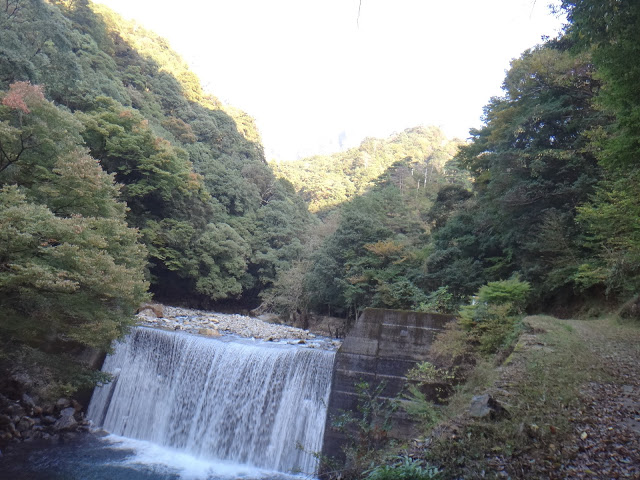 d0326888_23223158.jpg