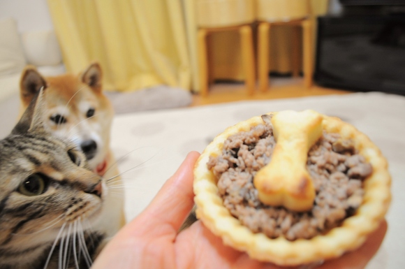 かぼちゃんの誕生日_a0126590_233151100.jpg