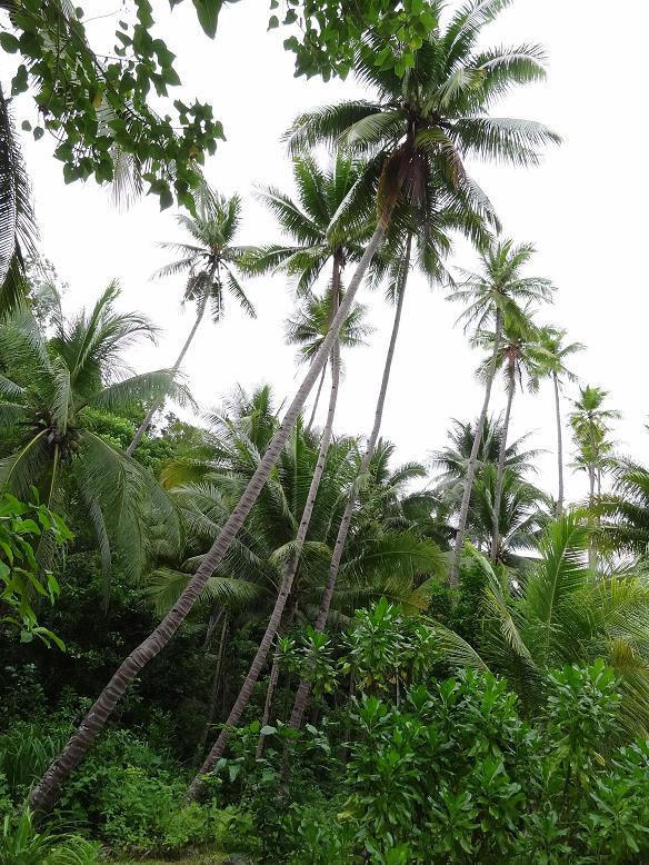 f0075595_222171.jpg