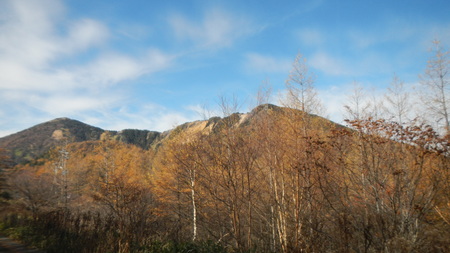 紅葉情報_e0120896_645179.jpg