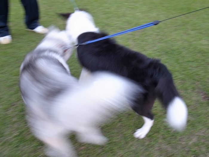 c0049299_14105463.jpg