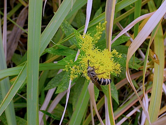 d0166900_13541178.jpg