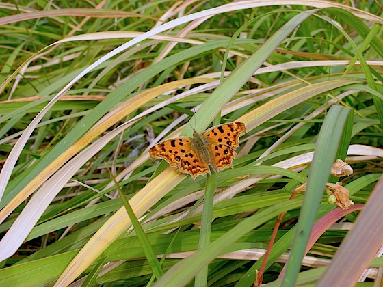 d0166900_13544848.jpg