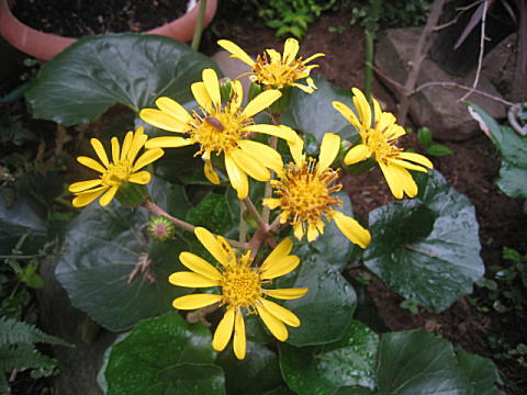 d0046702_19154199.jpg