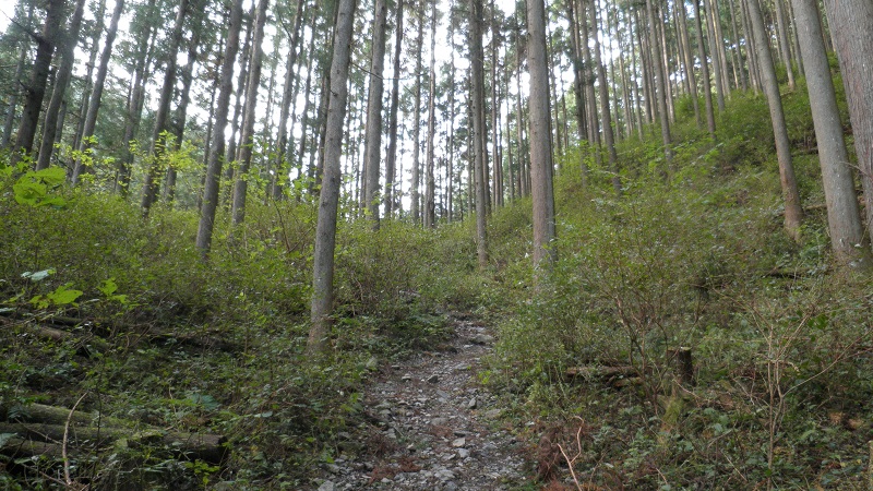 e0304702_17325760.jpg