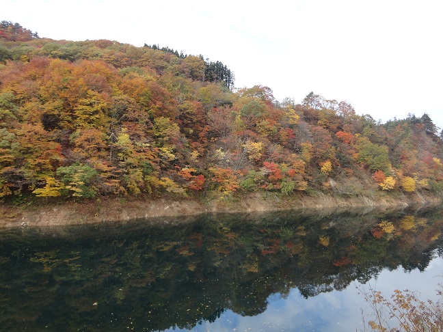 a0207303_1855190.jpg