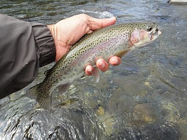b0172805_141786.jpg