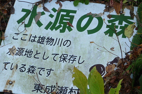 a0214206_2139412.jpg