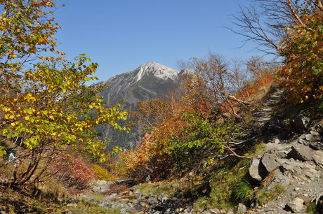 c0242406_1261321.jpg
