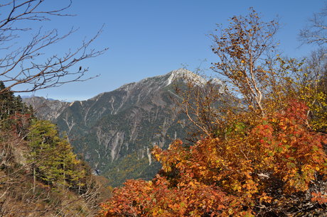 c0242406_1264436.jpg