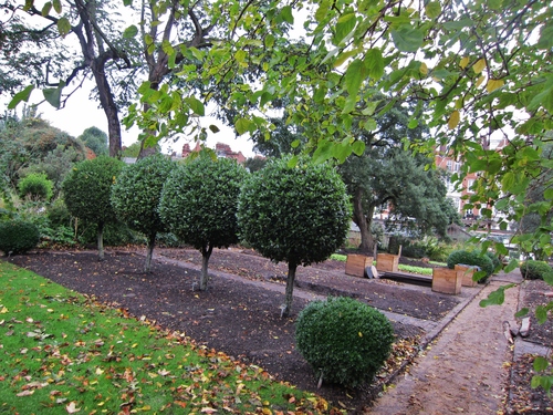 d0179410_6141173.jpg
