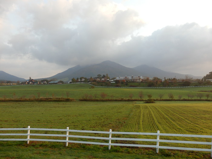 f0219710_727731.jpg