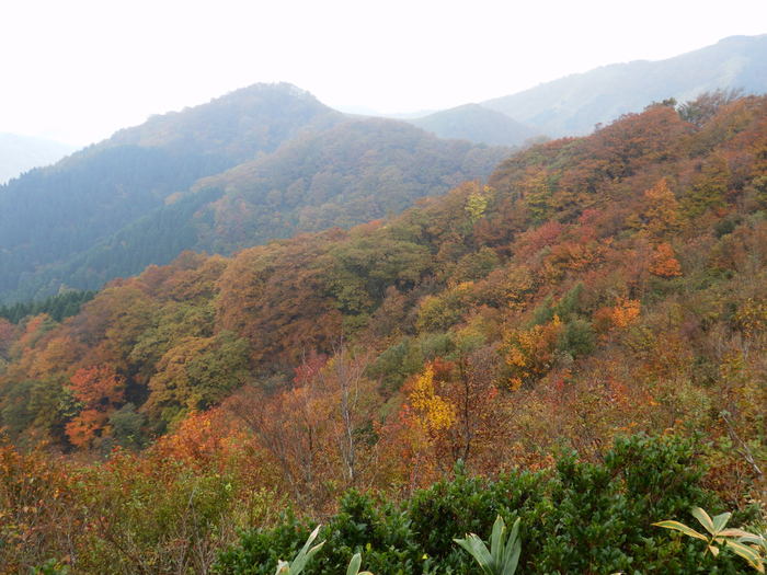 f0219710_811184.jpg