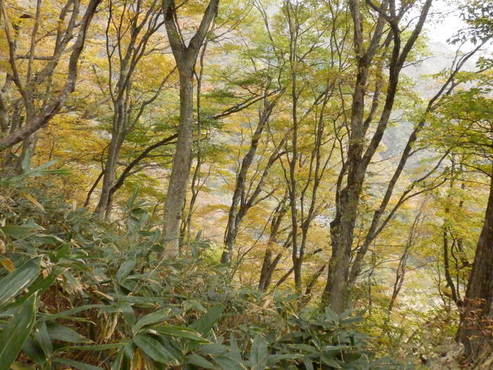 f0219710_8151851.jpg
