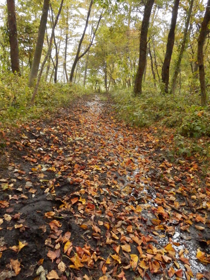f0219710_817028.jpg