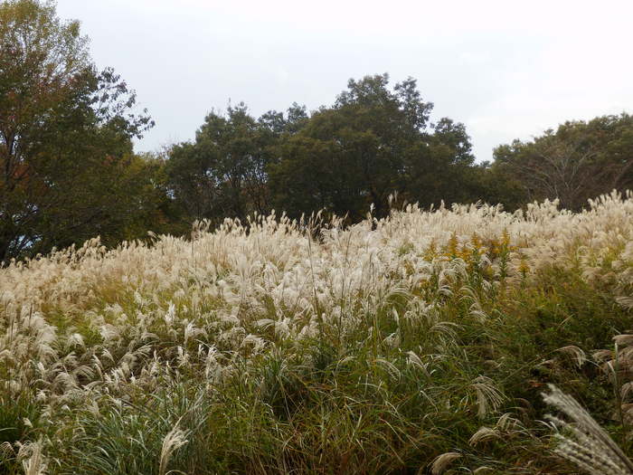 f0219710_8175761.jpg