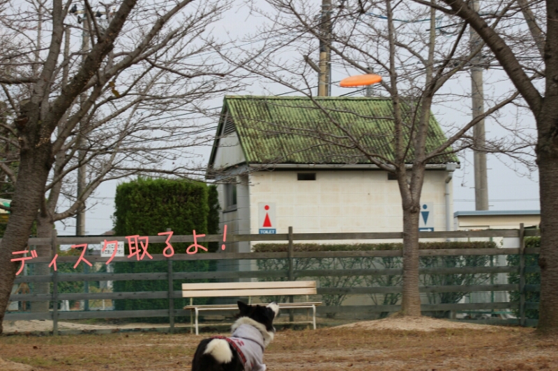 f0246611_048321.jpg