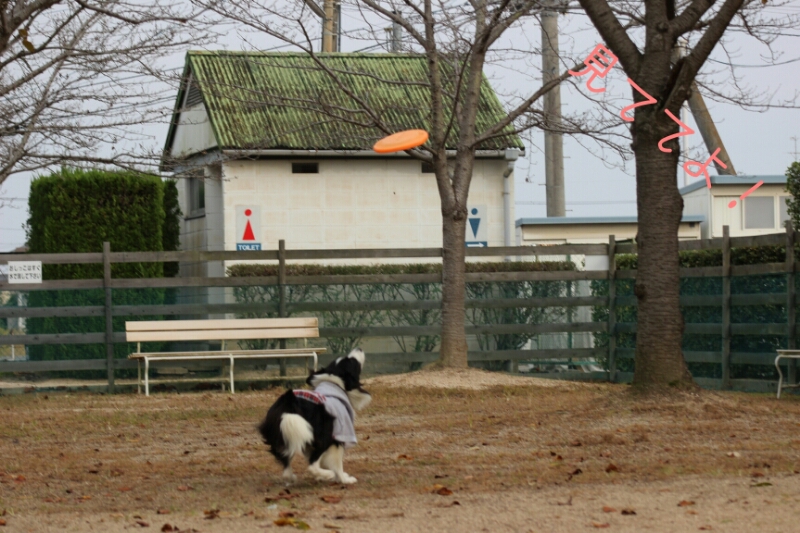 f0246611_0492049.jpg